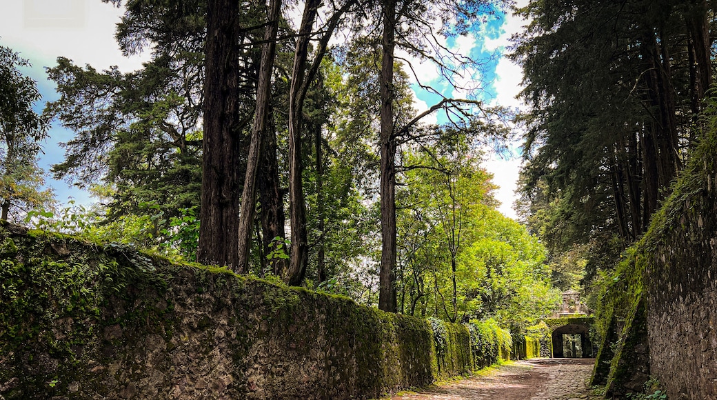 Desierto de los leones Mexico