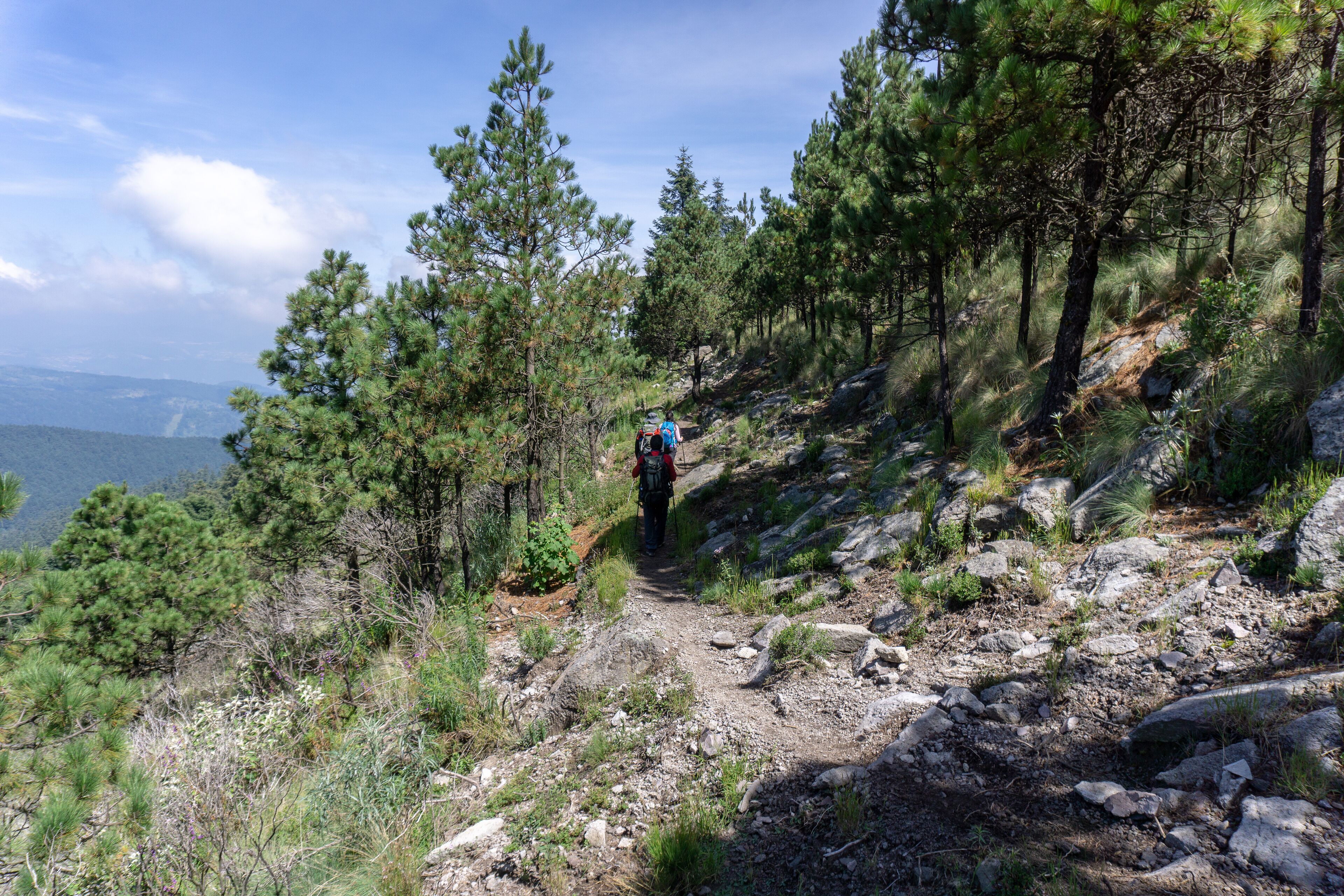 Parque Nacional Desierto de los Leones