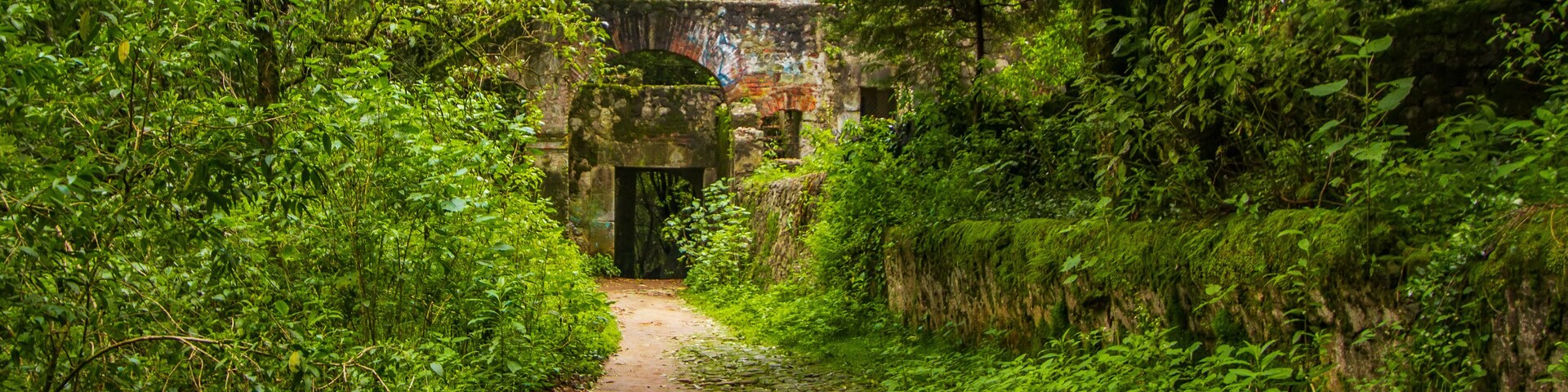 Desierto de los leones, mexico