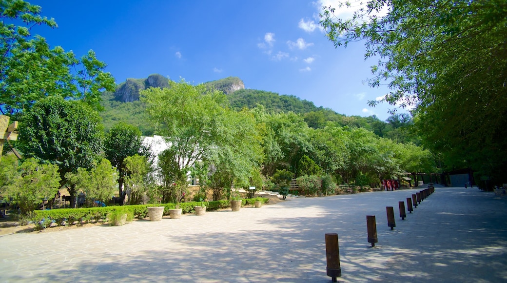 Cascada Cola de Caballo featuring a park