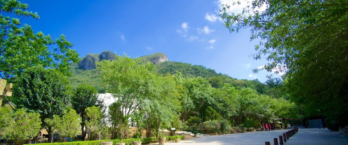 Cascada Cola de Caballo featuring a park