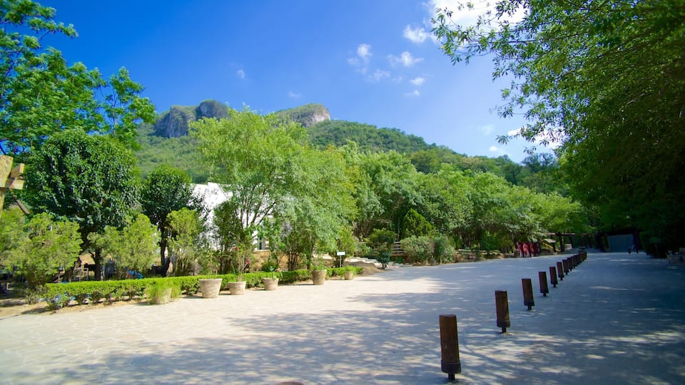 A pathway lined with trees and potted plants, leading towards a mountainous landscape.