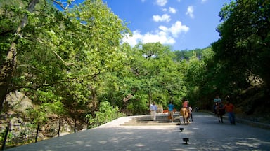 Cascada Cola de Caballo ofreciendo un parque