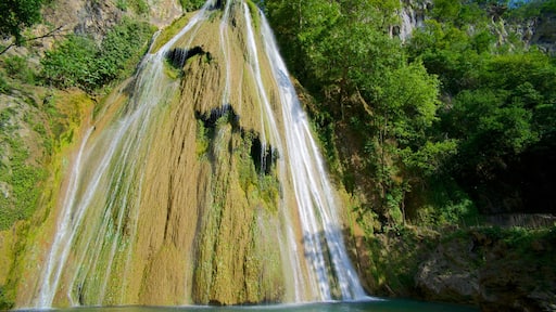 Cascada Cola de Caballo que incluye una cascada