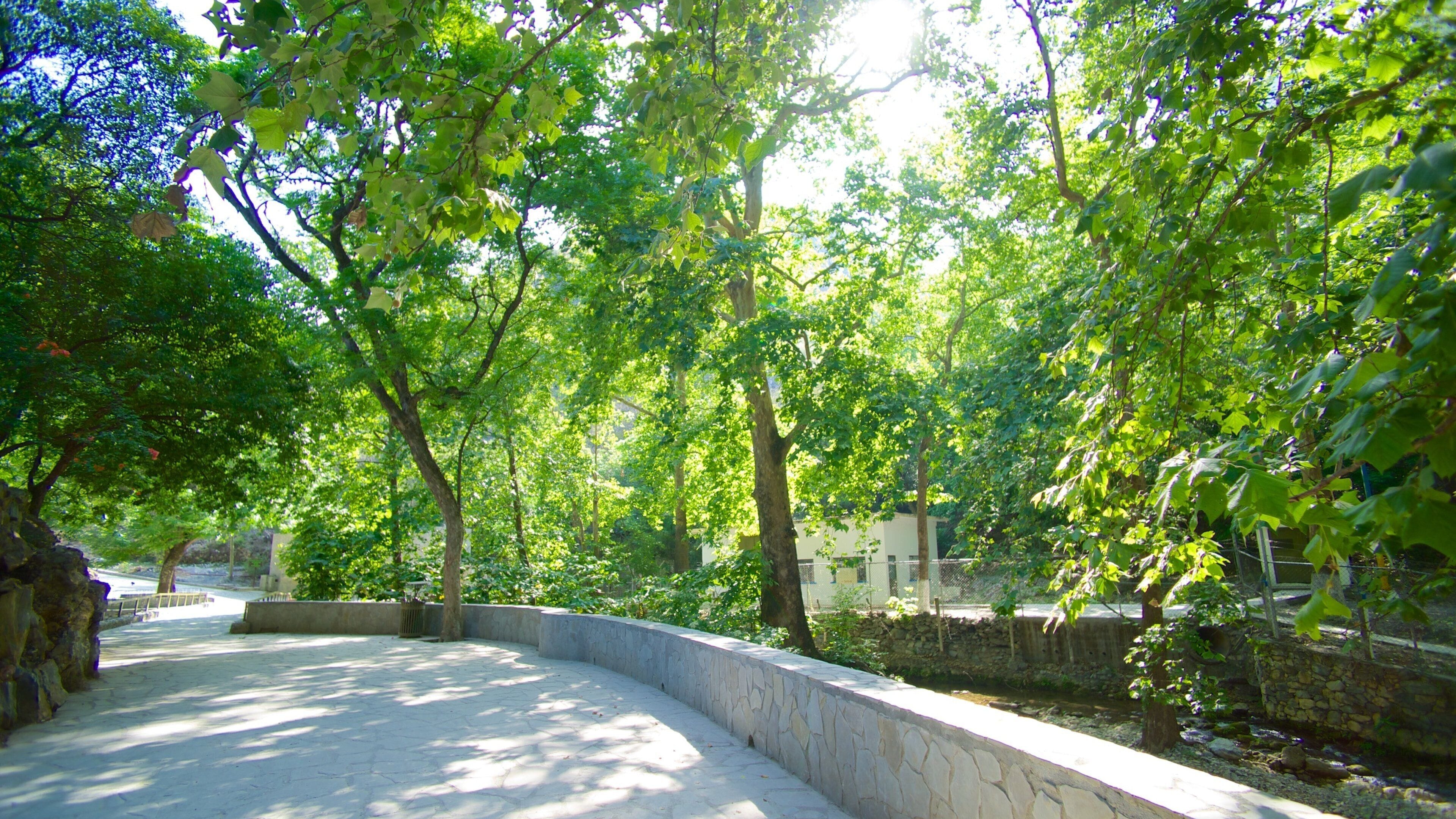 Cascada Cola de Caballo welches beinhaltet Garten