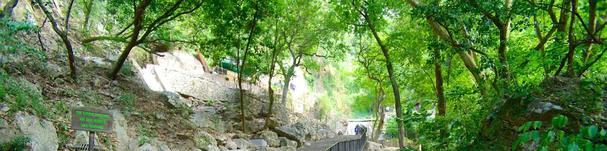 Cascada Cola de Caballo das einen Park und Wasserfall