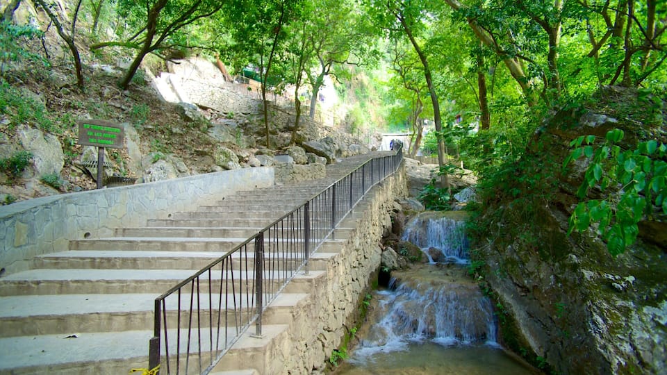 Stone steps leading to a waterfall in a forested area.
