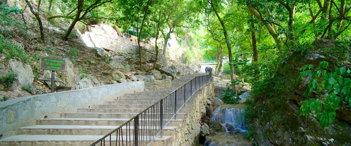 Cascada Cola de Caballo featuring a waterfall and a park