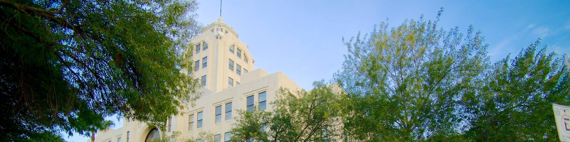 Antiguo Palacio Federal featuring street scenes