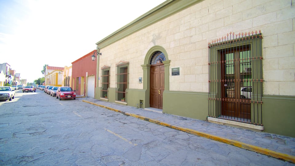 Barrio Antiguo showing a small town or village, heritage architecture and street scenes