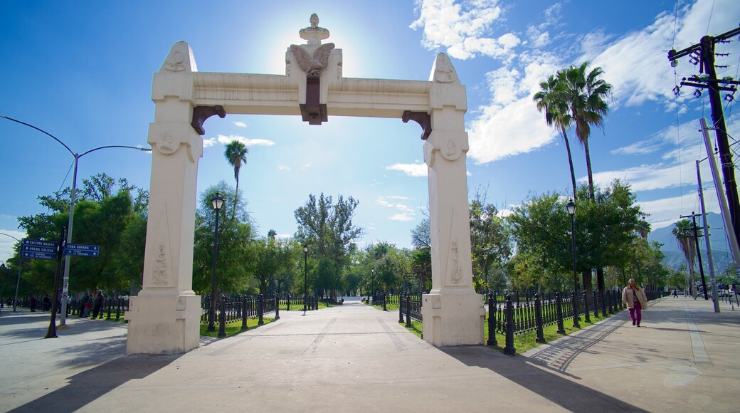 Alameda featuring a park