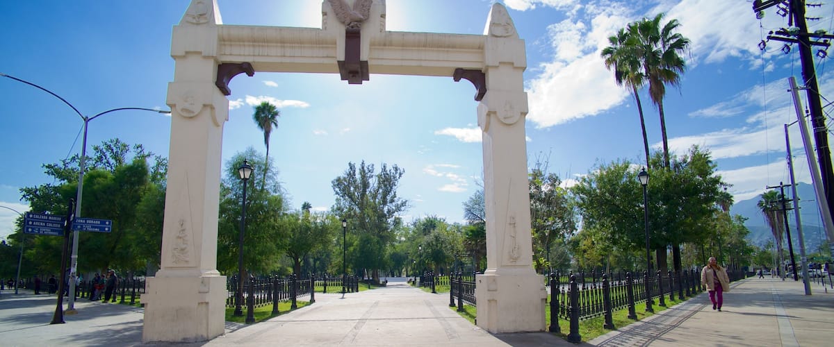 Alameda ofreciendo un parque