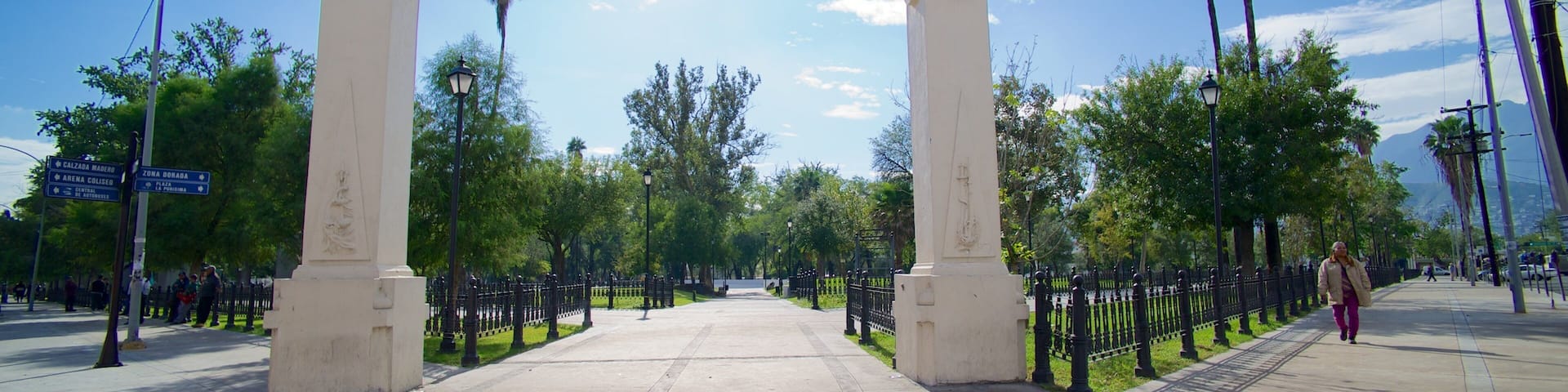 Alameda das einen Park