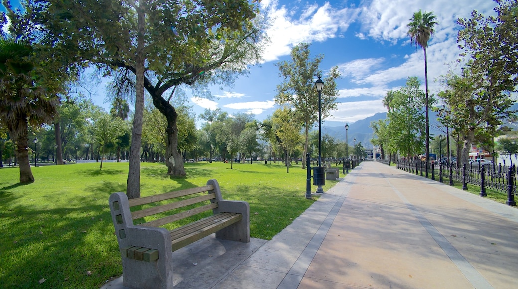 Alameda which includes a park