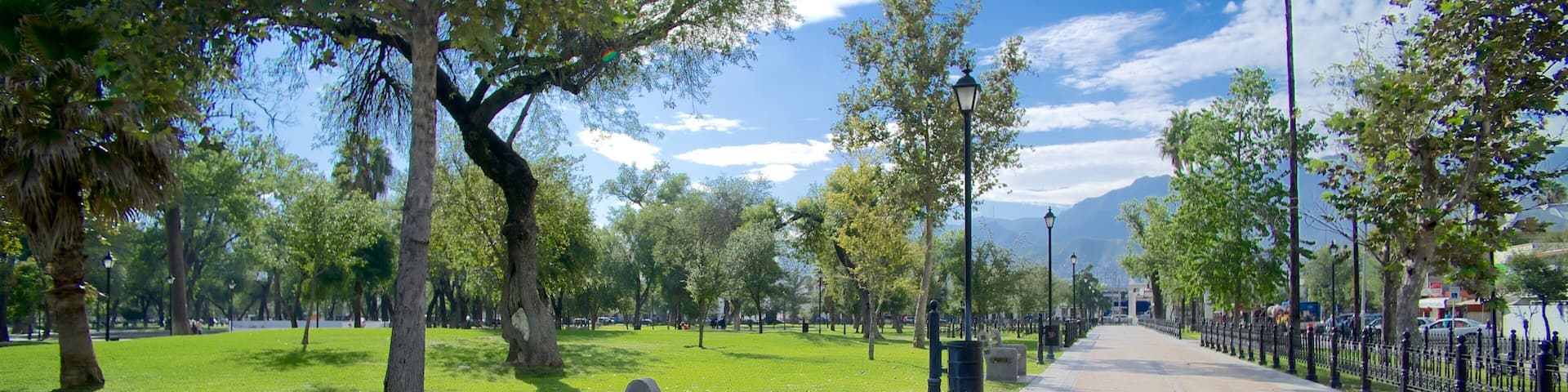 Alameda which includes a park