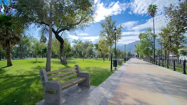 Alameda which includes a park