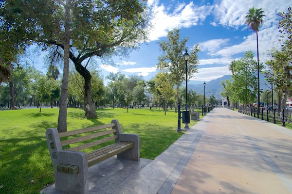 Ein Park mit einer Bank, Bäumen, einem Weg und einer entfernten Bergkette.