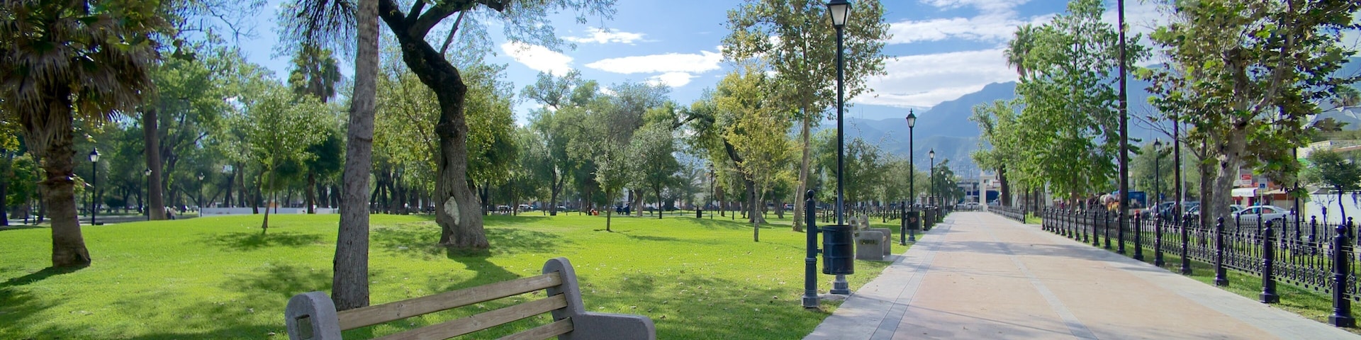 Un parque con un banco, árboles, un sendero y una cadena montañosa a lo lejos.