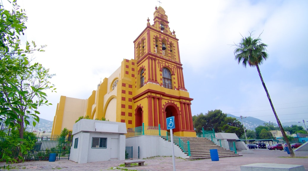 Basilica de Guadalupe showing street scenes and a church or cathedral