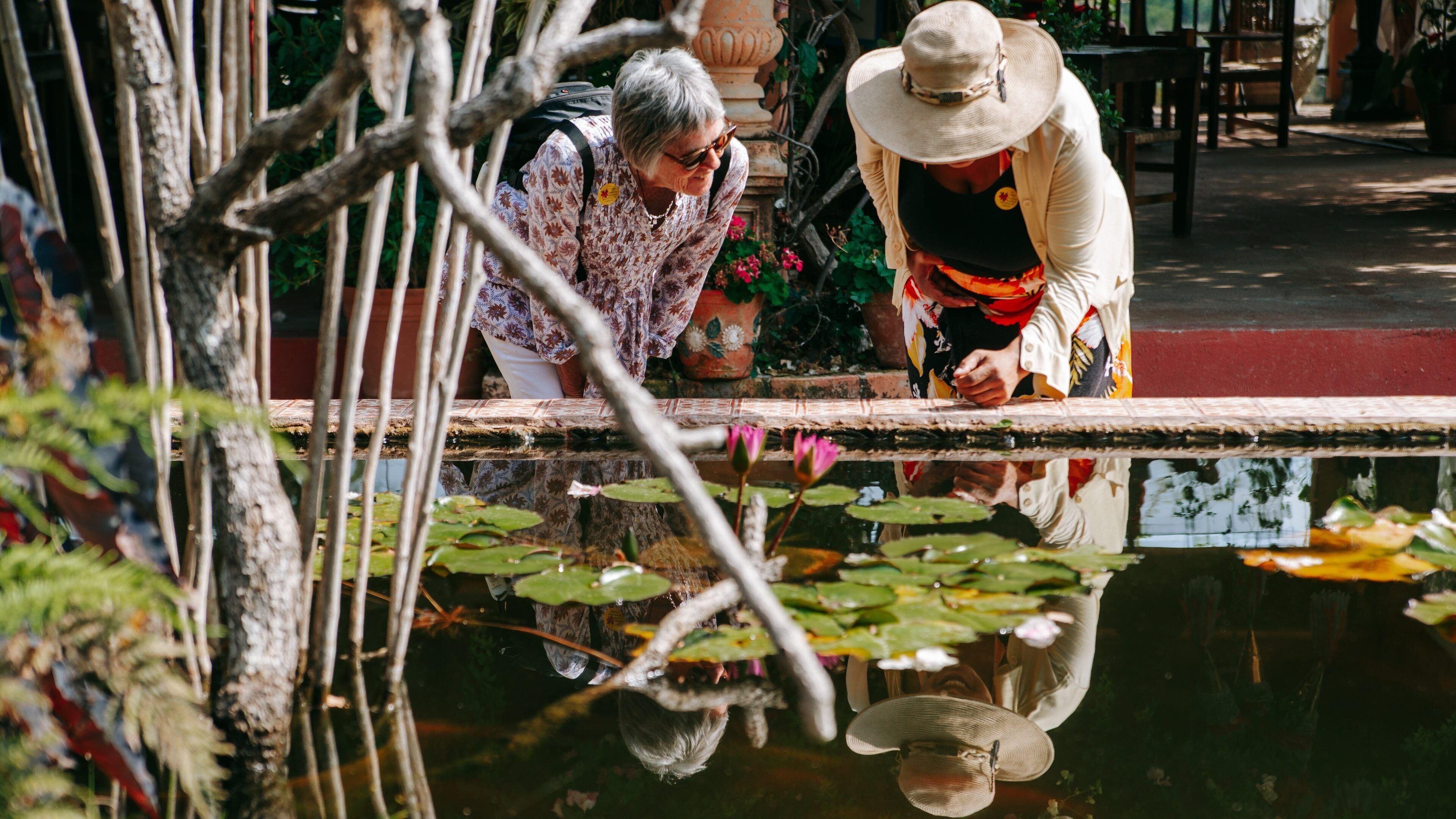 Puerto Vallarta Botanical Gardens featuring wildflowers and a pond as well as a couple