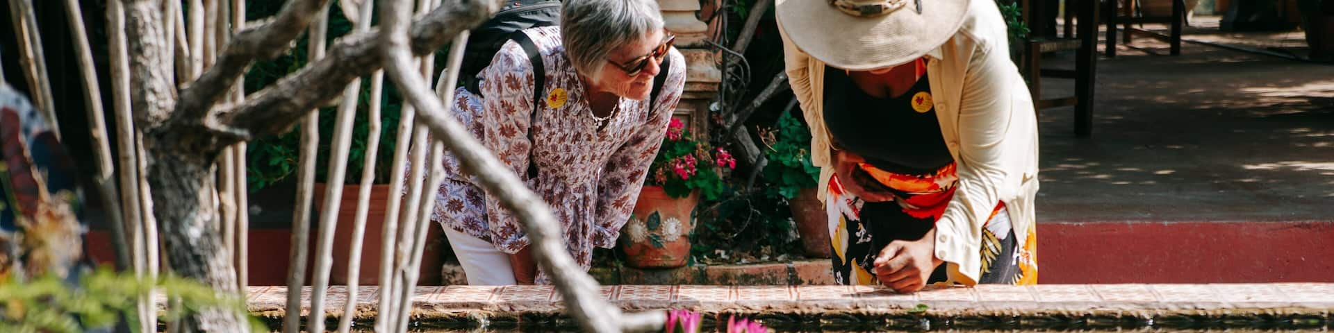 Puerto Vallarta Botanical Gardens featuring wildflowers and a pond as well as a couple