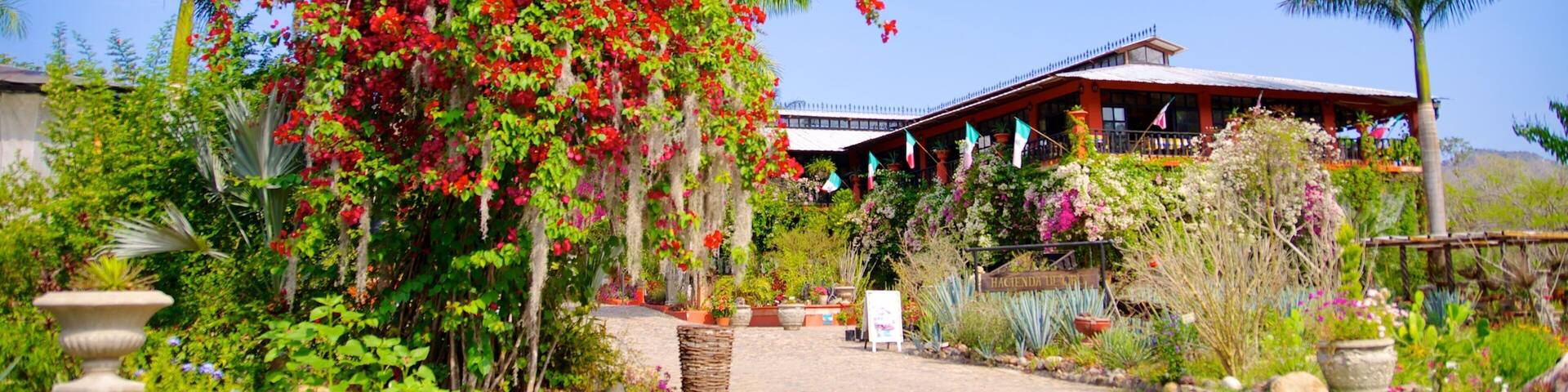 Puerto Vallarta Botanical Gardens featuring flowers and a park
