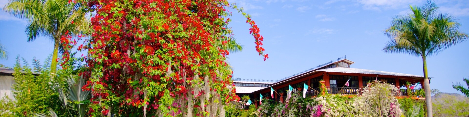 布埃尔多·巴亚尔塔植物园