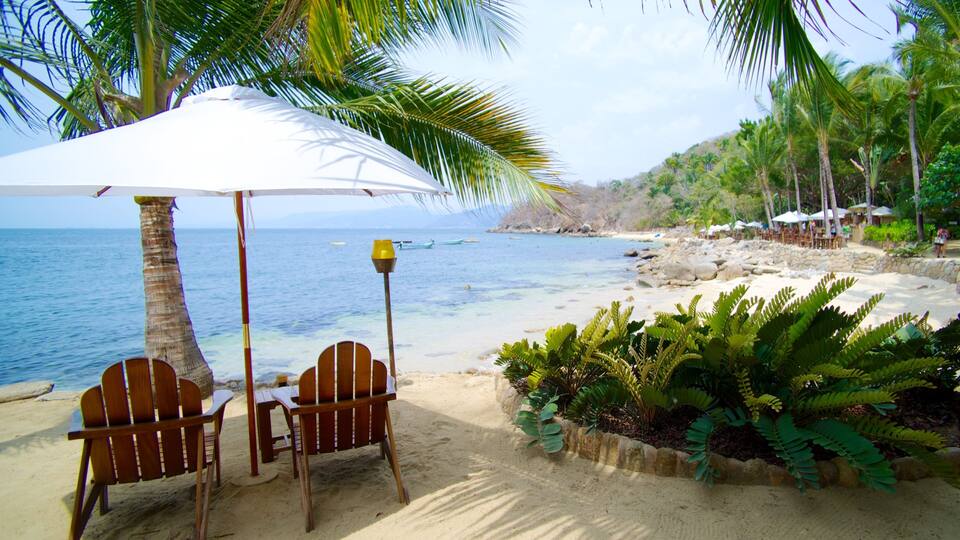A beach with wooden chairs and a white umbrella, palm trees, and a rocky shoreline.