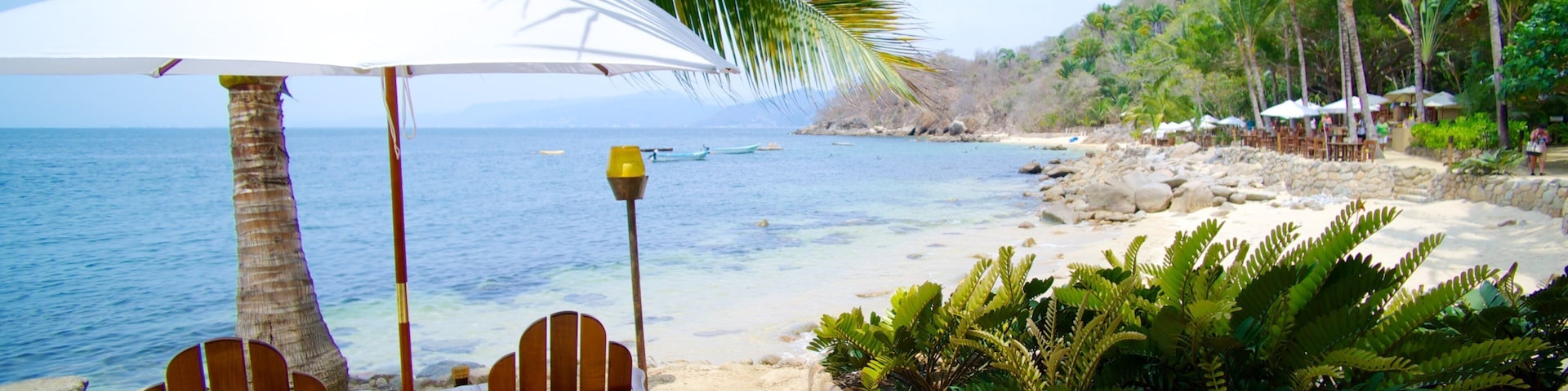 Las Caletas que inclui uma praia, cenas tropicais e um hotel de luxo ou resort