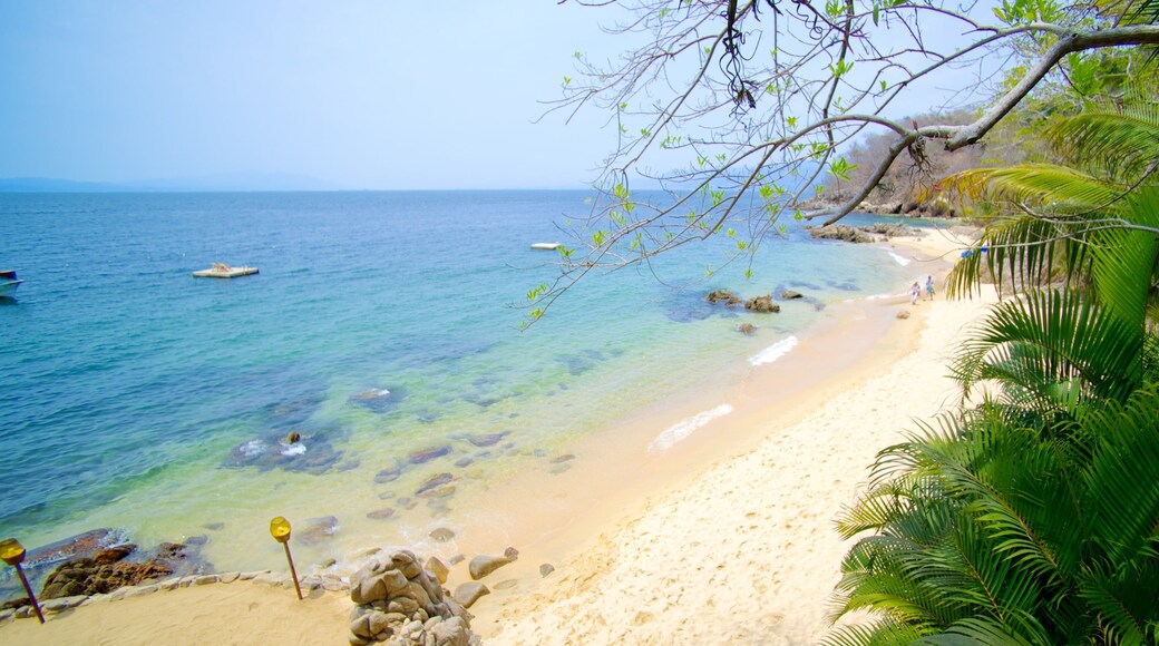 Las Caletas mit einem tropische Szenerien und Sandstrand