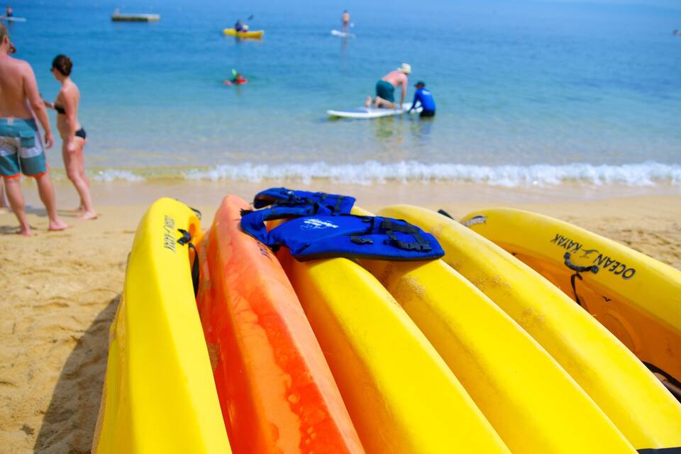 Des kayaks jaunes et orange, avec des gilets de sauvetage bleus, sur une plage de sable.