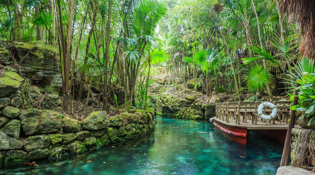 Blue river in Xcaret, Mexico