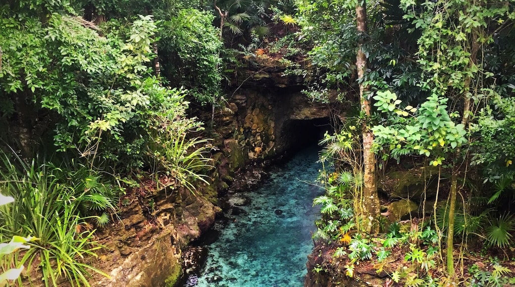 Clear blue water at Xcaret park. #waterlust