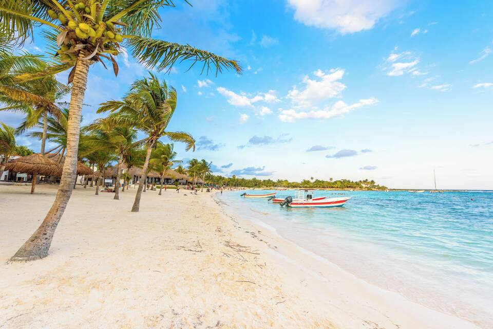 Ein Strand mit Palmen, sandigem Ufer und Booten im Wasser.