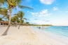 A beach with palm trees, a sandy shore, and boats in the water.