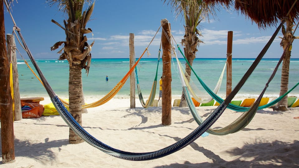 A beach with hammocks and palm trees.