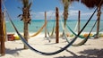 A beach with hammocks and palm trees.