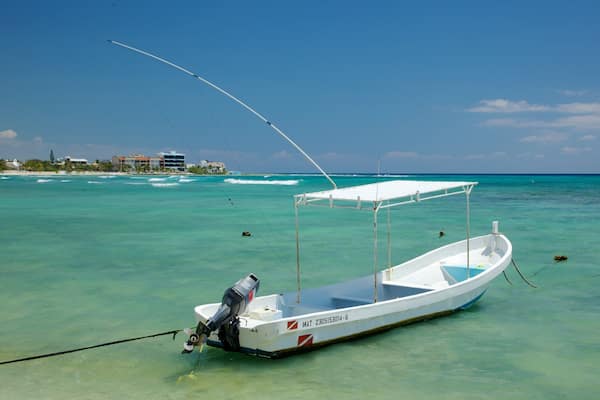 Half Moon Bay which includes boating and a bay or harbor