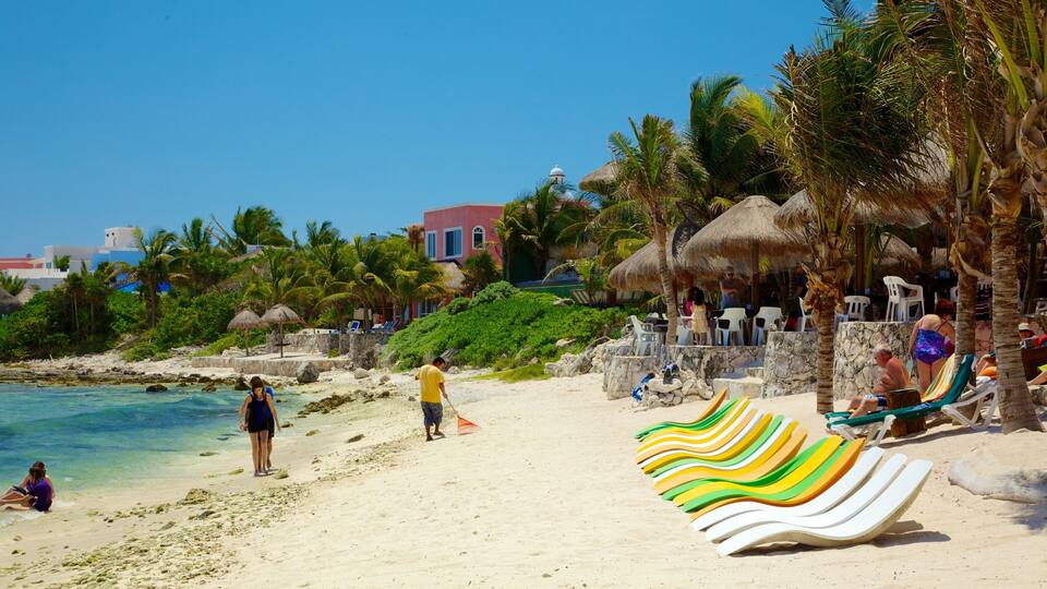 A beach with palm trees, thatched umbrellas, and colorful lounge chairs.