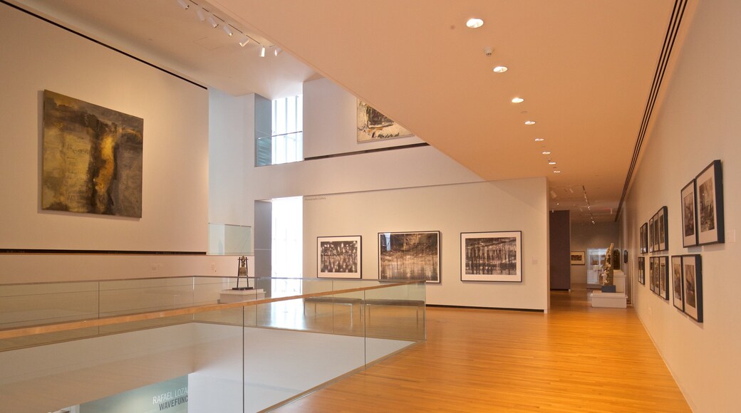 University of Michigan Museum of Art which includes interior views and art