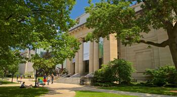 University of Michigan Museum of Art das einen Park und historische Architektur sowie kleine Menschengruppe