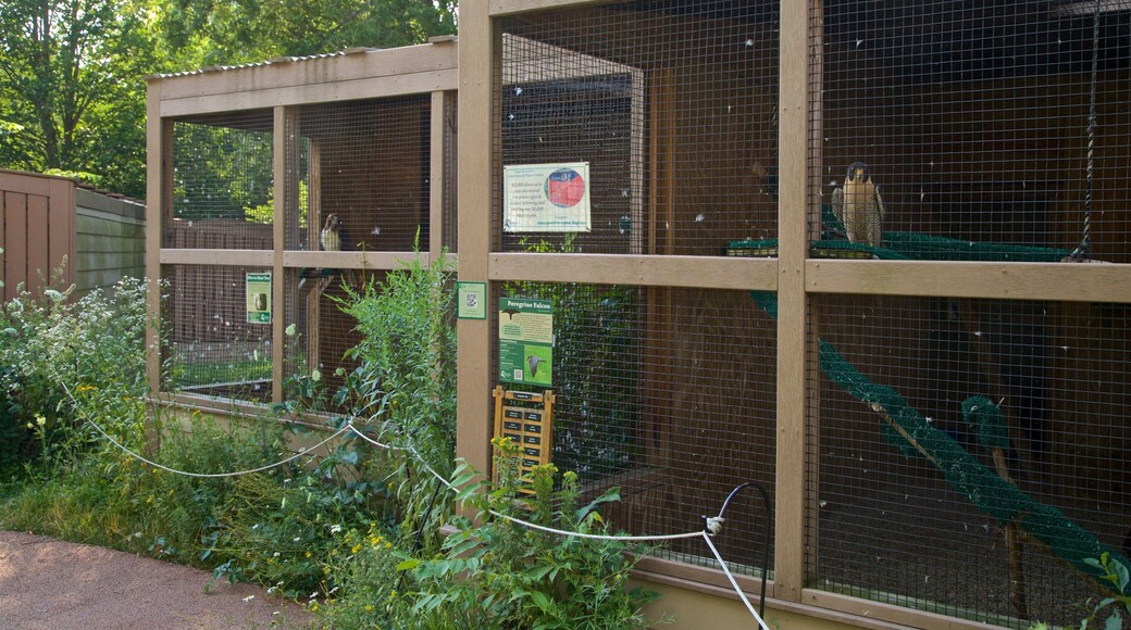 Wetenschapscentrum Leslie inclusief dierentuindieren en vogels