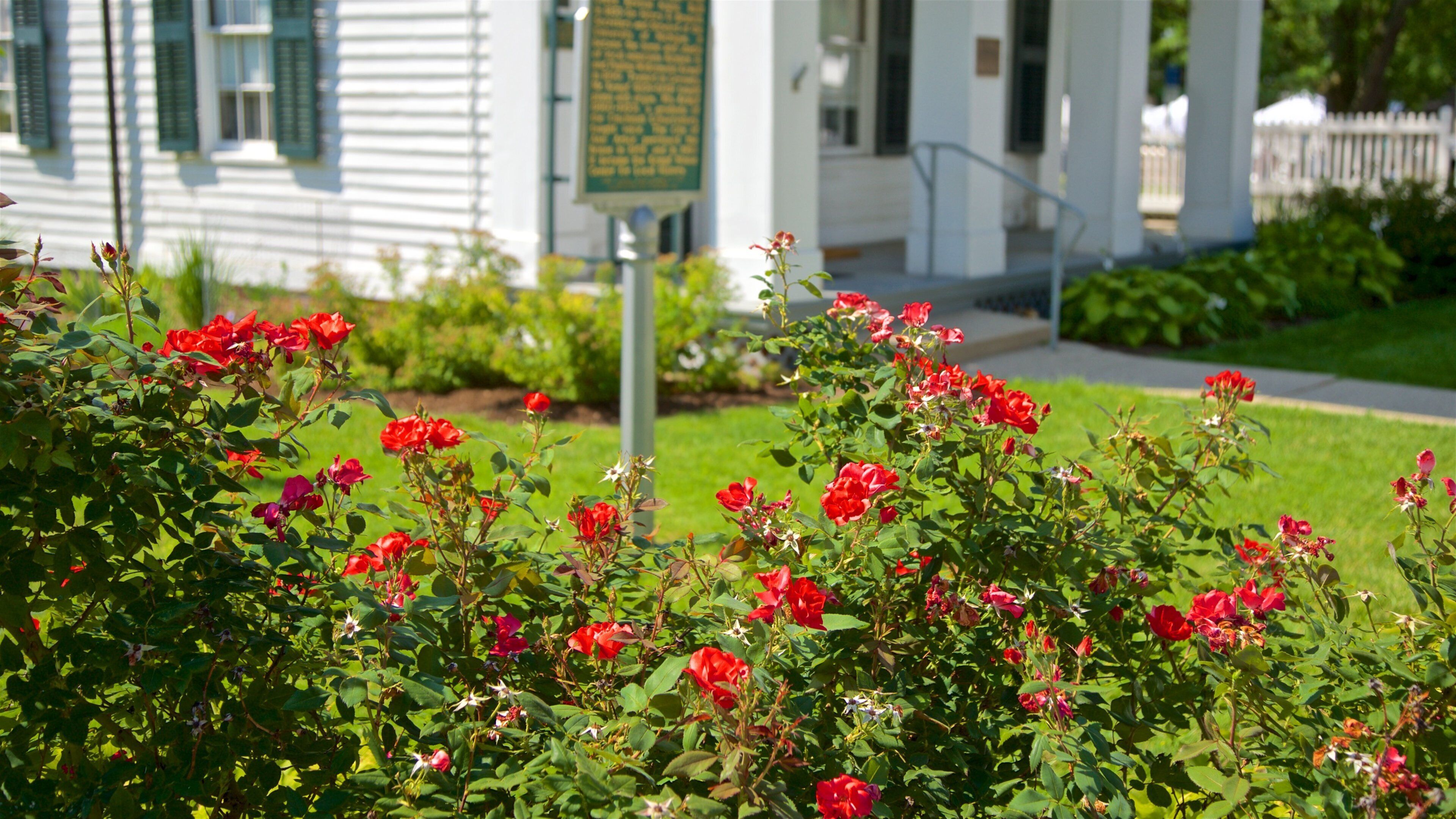 Kempf House Museum which includes wildflowers