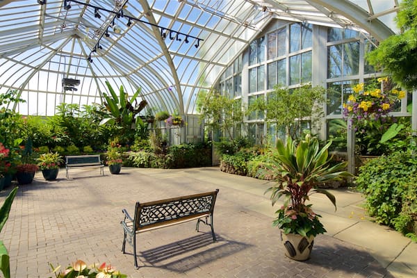 Anna Scripps Whitcomb Conservatory