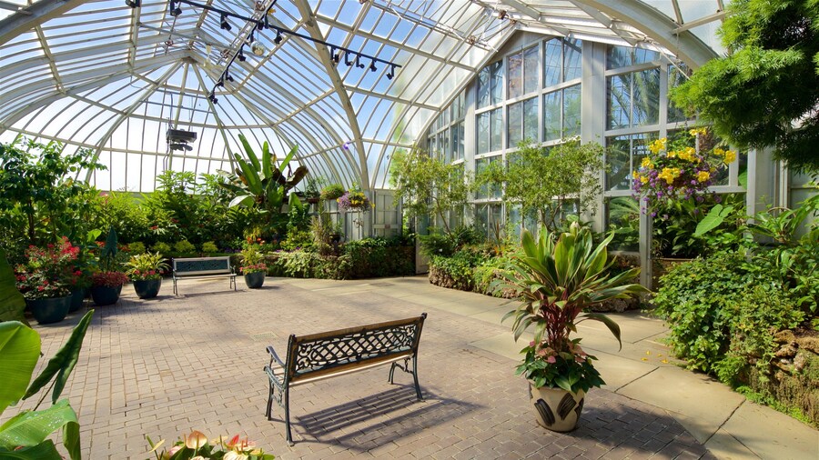 Anna Scripps Whitcomb Conservatory