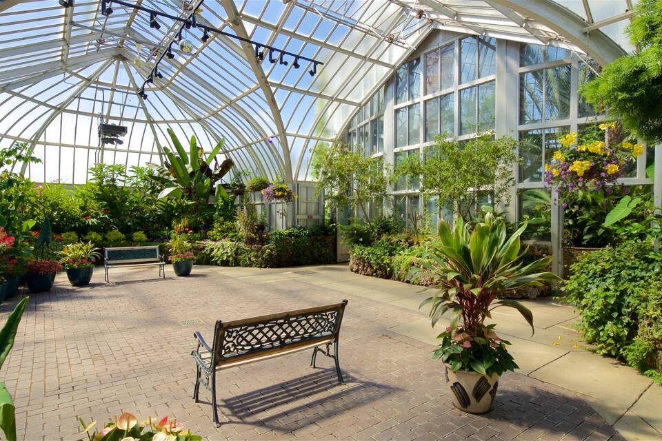 A greenhouse with a glass ceiling, various potted plants, and a bench.