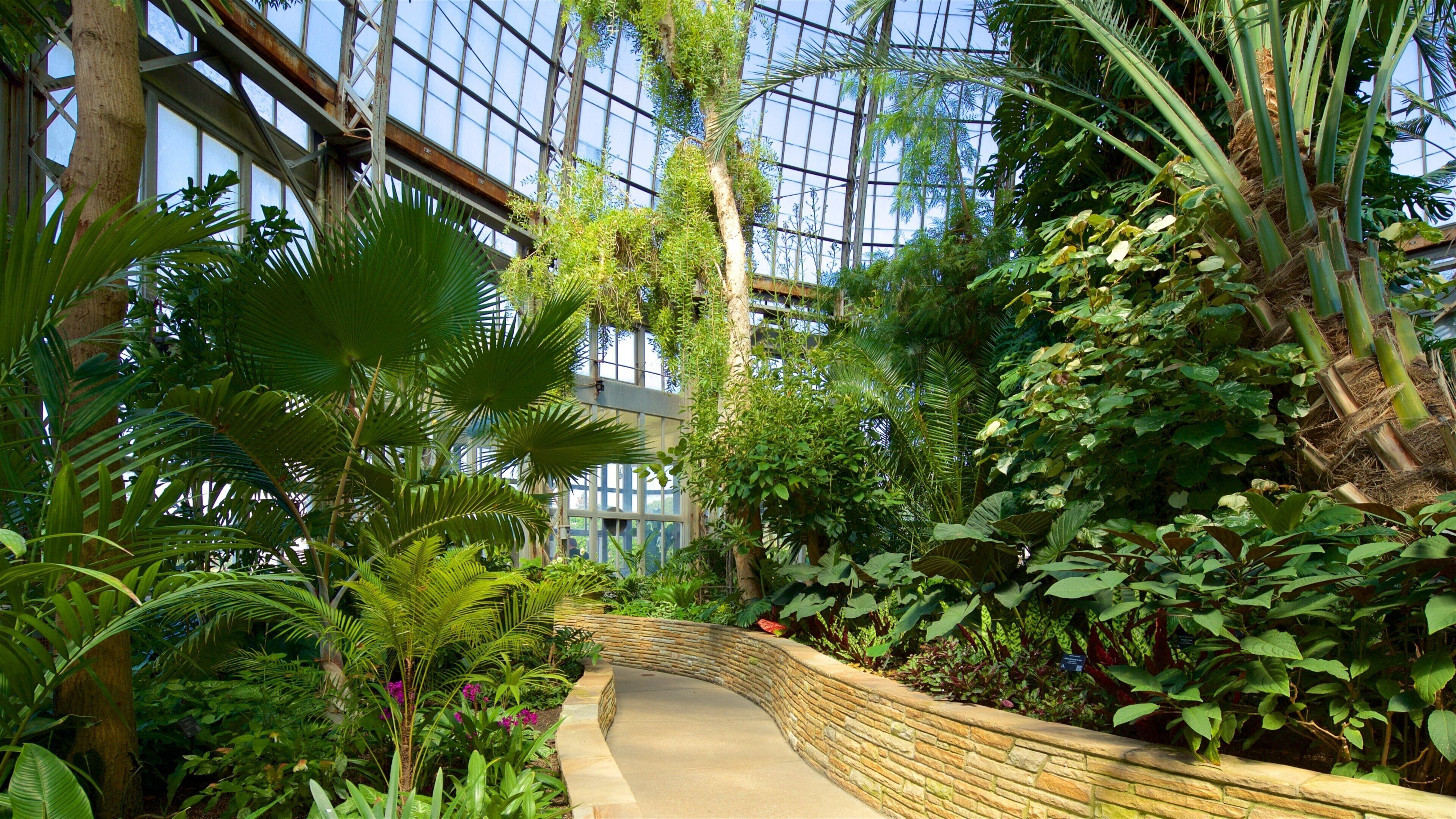 Un jardin intérieur luxuriant, agrémenté d’une variété de plantes tropicales, d’un chemin en pierre et d’une structure à plafond de verre.
