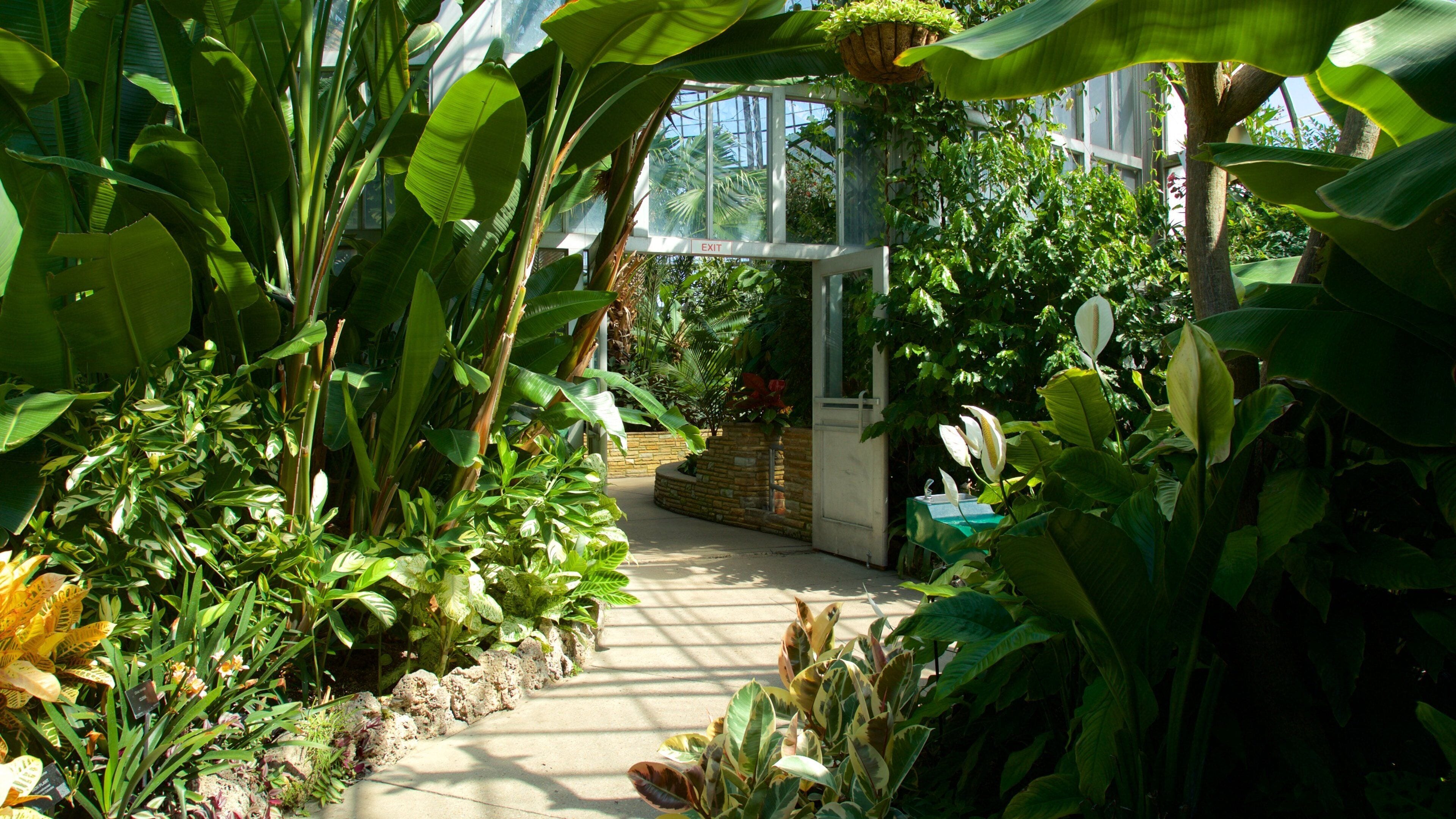 Anna Scripps Whitcombs veksthus som viser hage og innendørs