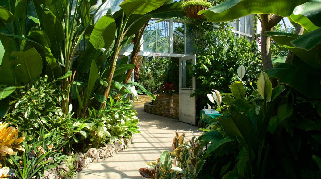 Anna Scripps Whitcombs veksthus som viser hage og innendørs