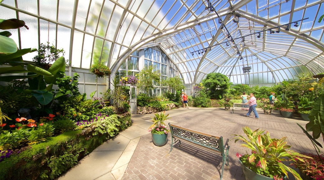 Anna Scripps Whitcomb Conservatory which includes a park and interior views